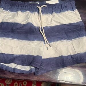 American Eagle Outfitters Blue and White Swim Trunks